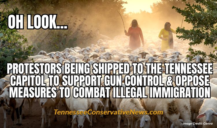 Oh Look... Protestors Being Shipped To The Tennessee Capitol To Support Gun Control & Oppose Measures To Combat Illegal Immigration - Meme