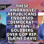 These Knoxville Republicans Endorsed Democrat Bryan Goldberg Over GOP Rep. Elaine Davis