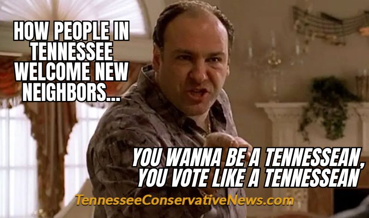 How People In Tennessee Welcome New Neighbors - You Wanna Be A Tennessean, You Vote Like A Tennessean - Tony Soprano Shouting Meme