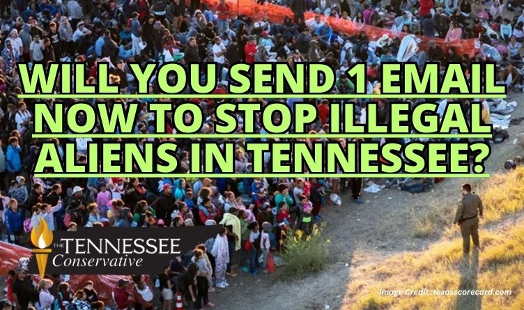 Will You Send 1 Email Now To Stop Illegal Aliens In Tennessee?