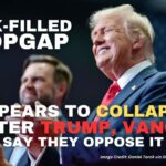 Pork-Filled Stopgap Appears To Collapse After Trump, Vance Say They Oppose It