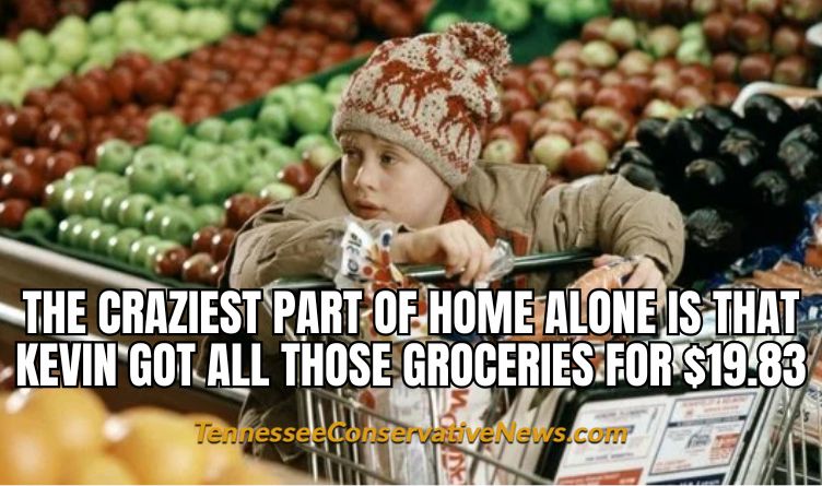 The Craziest Part Of Home Alone Is That Kevin Got All Those Groceries For $19.83 - Meme