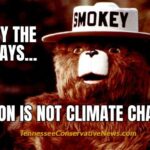 Smokey The Bear Says... Arson Is Not Climate Change - Meme