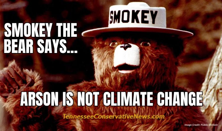 Smokey The Bear Says... Arson Is Not Climate Change - Meme