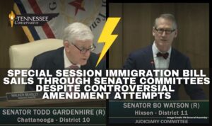 Special Session Immigration Bill Sails Through Senate Committees Despite Controversial Amendment Attempts