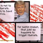 The Goal is not to Trigger Liberals. The Goal is to Save America. For some reason, that just so happens to trigger liberals. - Donald Trump Meme