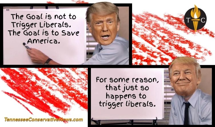 The Goal is not to Trigger Liberals. The Goal is to Save America. For some reason, that just so happens to trigger liberals. - Donald Trump Meme