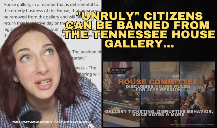 Video: "Unruly" Citizens Can Be BANNED From The Tennessee House Gallery…