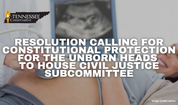 Resolution Calling For Constitutional Protection For The Unborn Heads To House Civil Justice Subcommittee