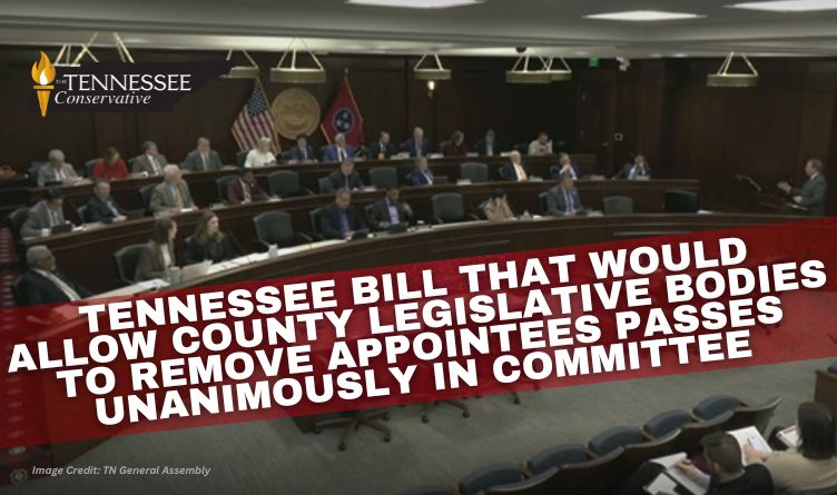 Tennessee Bill That Would Allow County Legislative Bodies To Remove Appointees Passes Unanimously In Committee