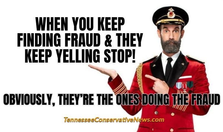 When You Keep Finding Fraud & They Keep Yelling Stop! Obviously, They’re The Ones Doing The Fraud - Captain Obvious Meme