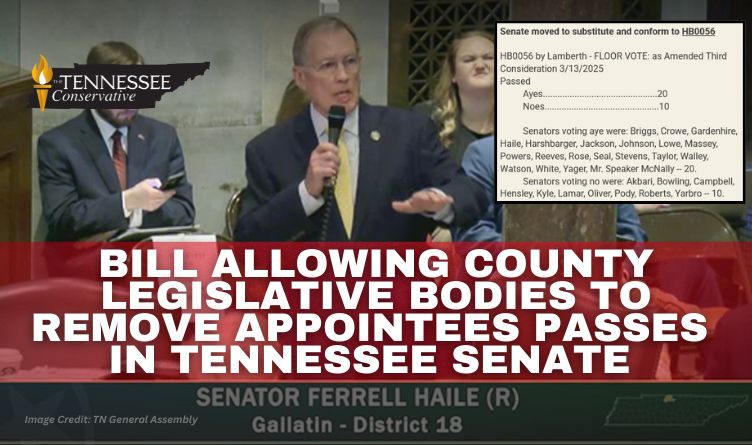 Bill Allowing County Legislative Bodies To Remove Appointees Passes In Tennessee Senate