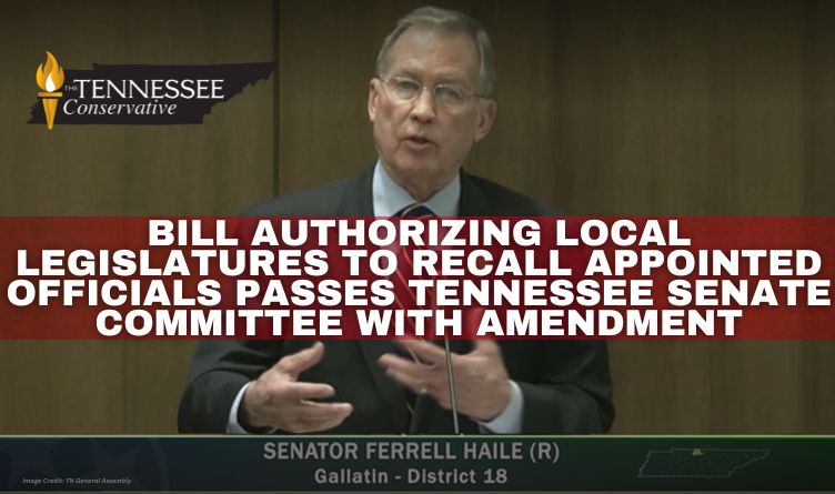 Bill Authorizing Local Legislatures To Recall Appointed Officials Passes Tennessee Senate Committee With Amendment