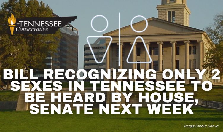 Bill Recognizing Only 2 Sexes In Tennessee To Be Heard By House, Senate Next Week