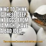 Beginning To Think Buying These Deep Discount Eggs From Florida Might Have Been A Bad Idea... - Meme