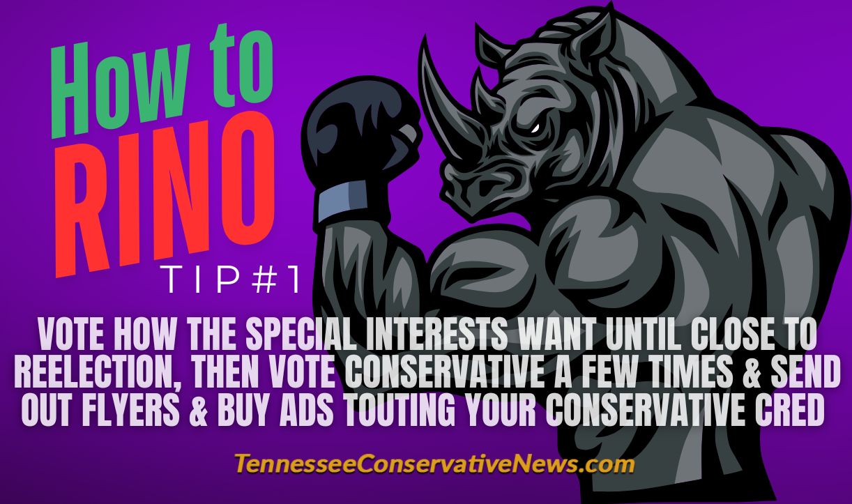 How To RINO Tip #1 - Vote How The Special Interests Want Until Close to Reelection, Then Vote Conservative A Few Times & Send Out Flyers & Buy Ads Touting Your Conservative Cred - Meme