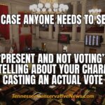 Just In Case Anyone Needs To See This... “Present And Not Voting” Is As Telling About Your Character As Casting An Actual Vote Is.