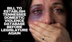 Bill To Establish Tennessee Domestic Violence Database Before Legislature Again