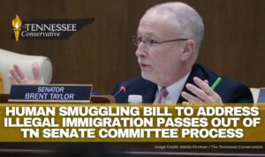 Human Smuggling Bill To Address Illegal Immigration Passes Out of Tennessee Senate Committee Process