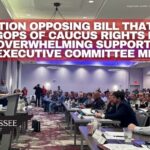 Resolution Opposing Bill That Would Strip GOPs Of Caucus Rights Passes With Overwhelming Support From State Executive Committee Members