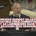 Tennessee Budget Bills Pass Through Multiple Committees In 1 Day As Lawmakers Race To Adjourn 2025 Session