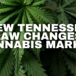 New Tennessee Law Changes Cannabis Market