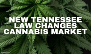 New Tennessee Law Changes Cannabis Market