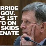 Override Of Governor Lee’s 1st Veto On The Skids In The Senate