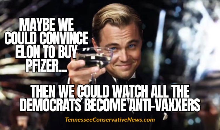 Maybe We Could Convince Elon To Buy Pfizer... Then We Could Watch All The Democrats Become Anti-Vaxxers - Meme
