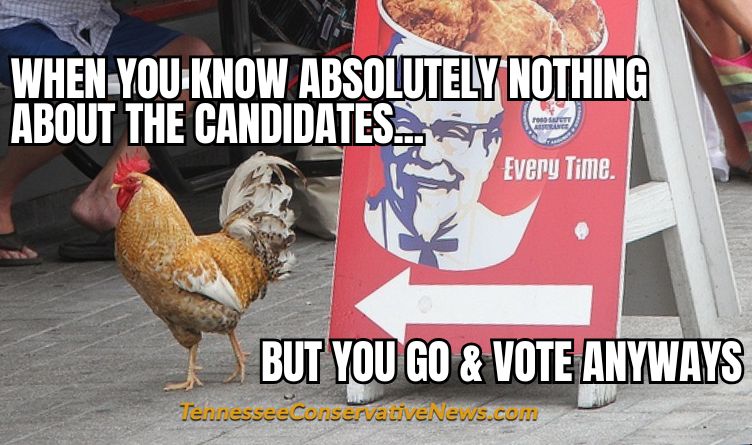 When You Know Absolutely Nothing About The Candidates... But You Go & Vote Anyways - Meme