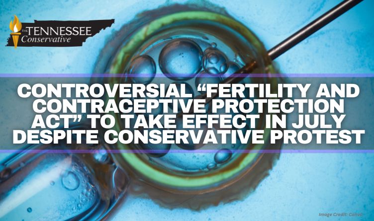 Controversial “Fertility and Contraceptive Protection Act” To Take Effect In July Despite Conservative Protest
