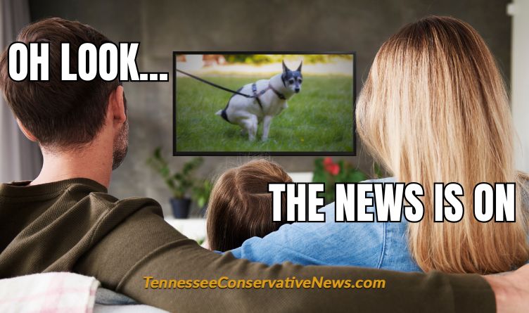 Oh Look... The News Is On - Meme