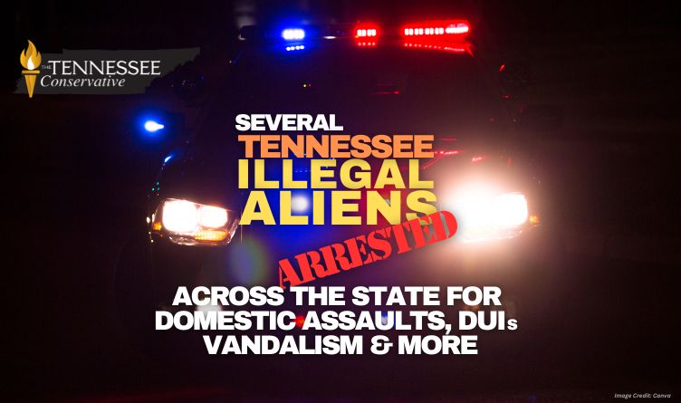 Several Tennessee Illegal Aliens Arrested Across The State For Domestic Assaults, DUIs, Vandalism & More