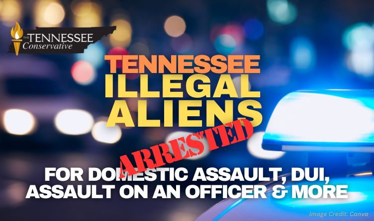 Tennessee Illegal Aliens Arrested For Domestic Assault, DUI, Assault On An Officer & More