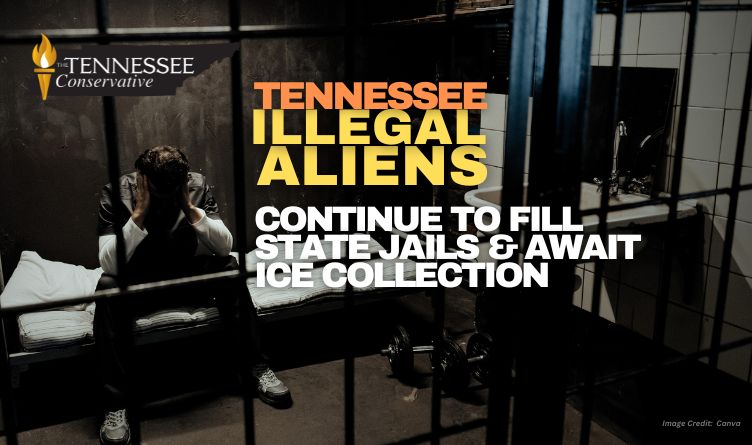 Tennessee Illegal Aliens Continue To Fill State Jails & Await ICE Collection