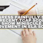 Progress Painfully Slow As Recent TCAP Scores Show Miniscule Improvement In ELA Scores