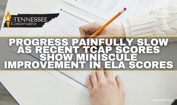 Progress Painfully Slow As Recent TCAP Scores Show Miniscule Improvement In ELA Scores