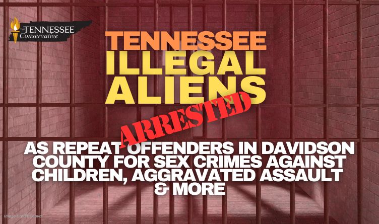 Tennessee Illegal Aliens Arrested As Repeat Offenders In Davidson County For Sex Crimes Against Children, Aggravated Assault & More