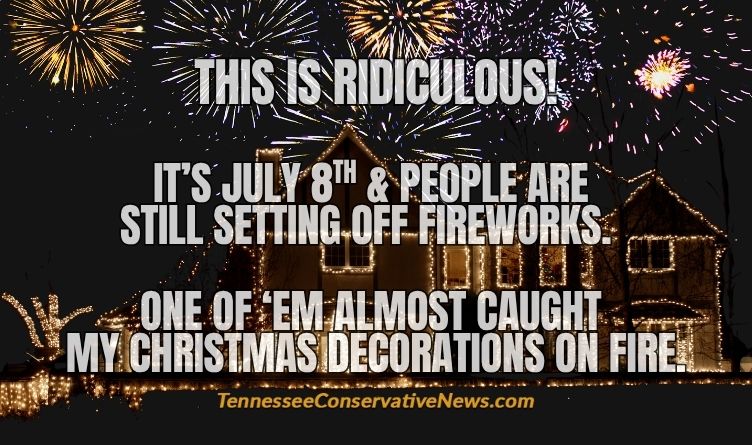 This Is Ridiculous! It’s July 8th & People Are Still Setting Off Fireworks. One Of ‘Em Almost Caught My Christmas Decorations On Fire. - Meme