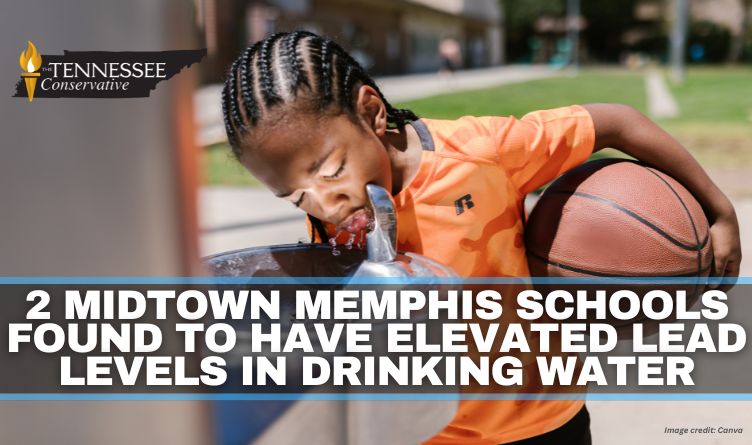 2 Midtown Memphis Schools Found To Have Elevated Lead Levels In Drinking Water