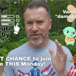 Video & Podcast: Blackburn Leads By 52%? Vanderbilt In “Damage Control.” RINOs Run To Daddy Golden. The BIG 7!