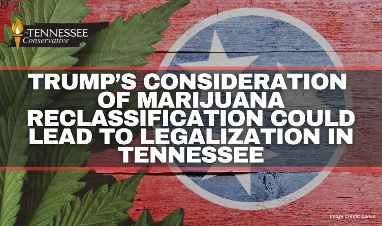 Trump’s Consideration Of Marijuana Reclassification Could Lead To Legalization In Tennessee