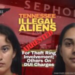 Tennessee Illegal Aliens Arrested For Theft Ring Involvement; Others On DUI Charges