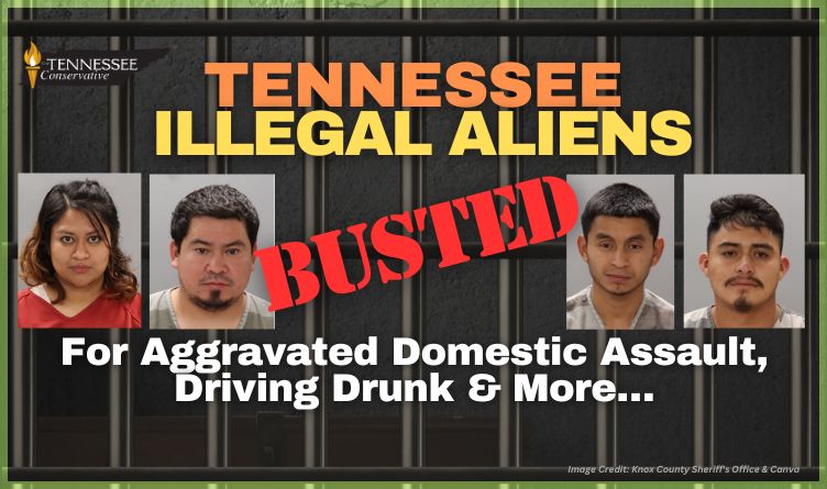 Tennessee Illegal Aliens Busted For Aggravated Domestic Assault, Driving Drunk & More…