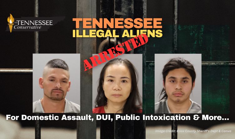Tennessee Illegal Aliens Arrested For Domestic Assault, DUI, Public Intoxication & More…