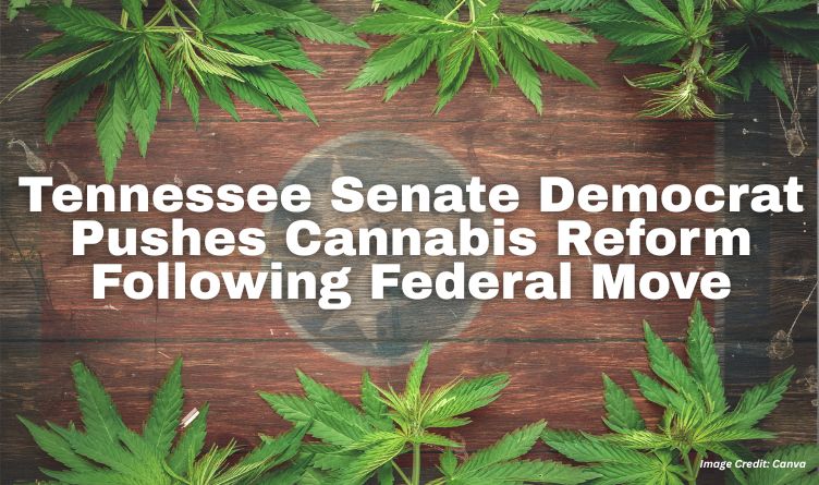 Tennessee Senate Democrat Pushes Cannabis Reform Following Federal Move