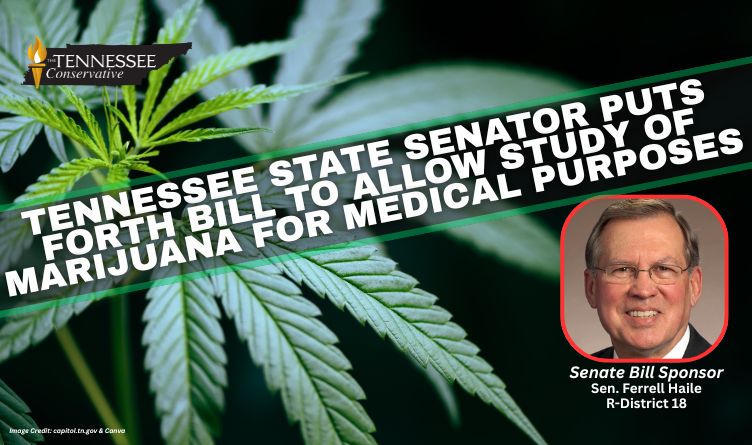 Tennessee State Senator Puts Forth Bill To Allow Study Of Marijuana For Medical Purposes