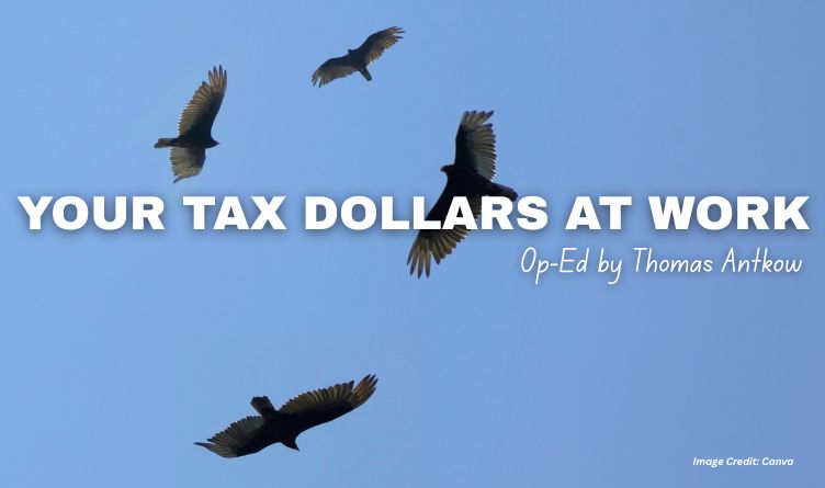 Your Tax Dollars At Work (Op-Ed By Thomas Antkow)