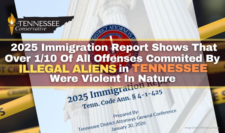 2025 Immigration Report Shows That Over 1/10 Of All Offenses Committed By Illegal Aliens In