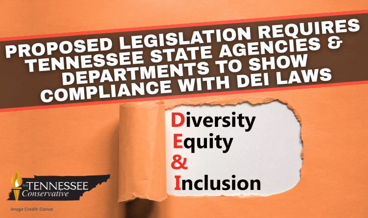Proposed Legislation Requires Tennessee State Agencies & Departments To Show Compliance With DEI Laws